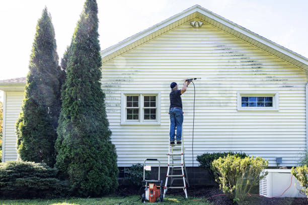 Best Graffiti Removal  in Alexandria, VA